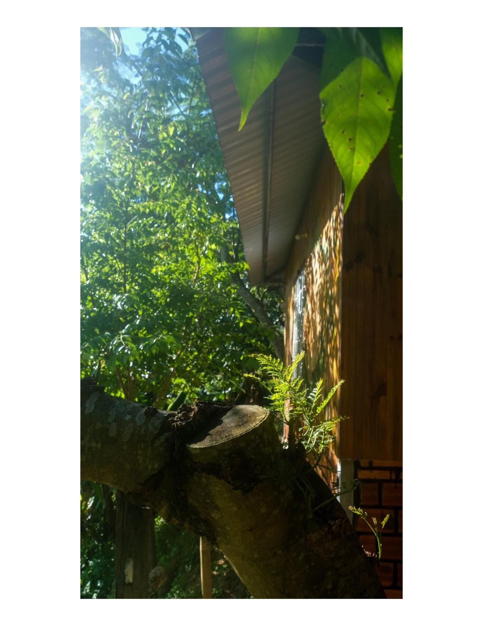 Nha Ben Ho - Da Lat Homestay Buitenkant foto