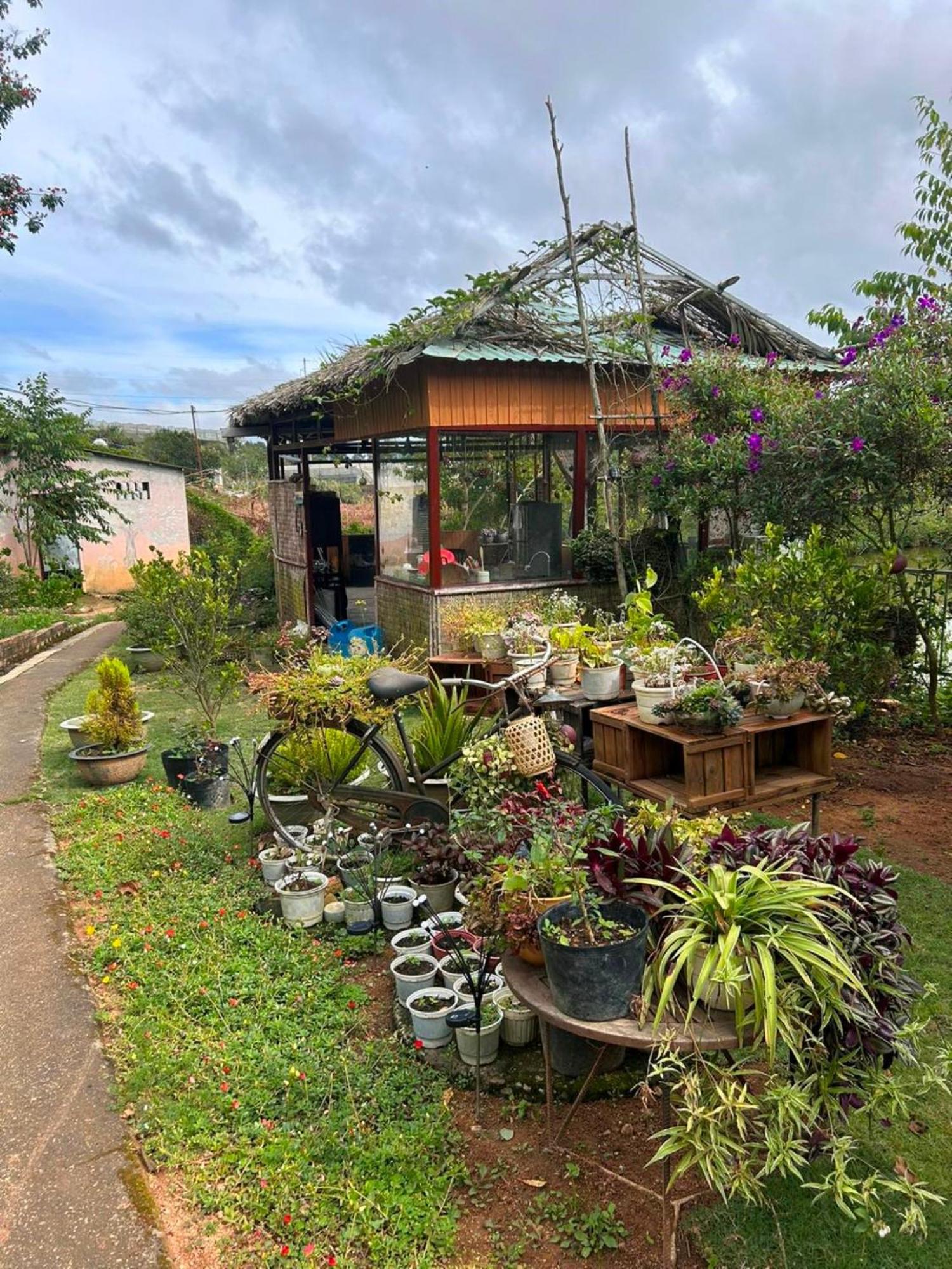 Nha Ben Ho - Da Lat Homestay Buitenkant foto