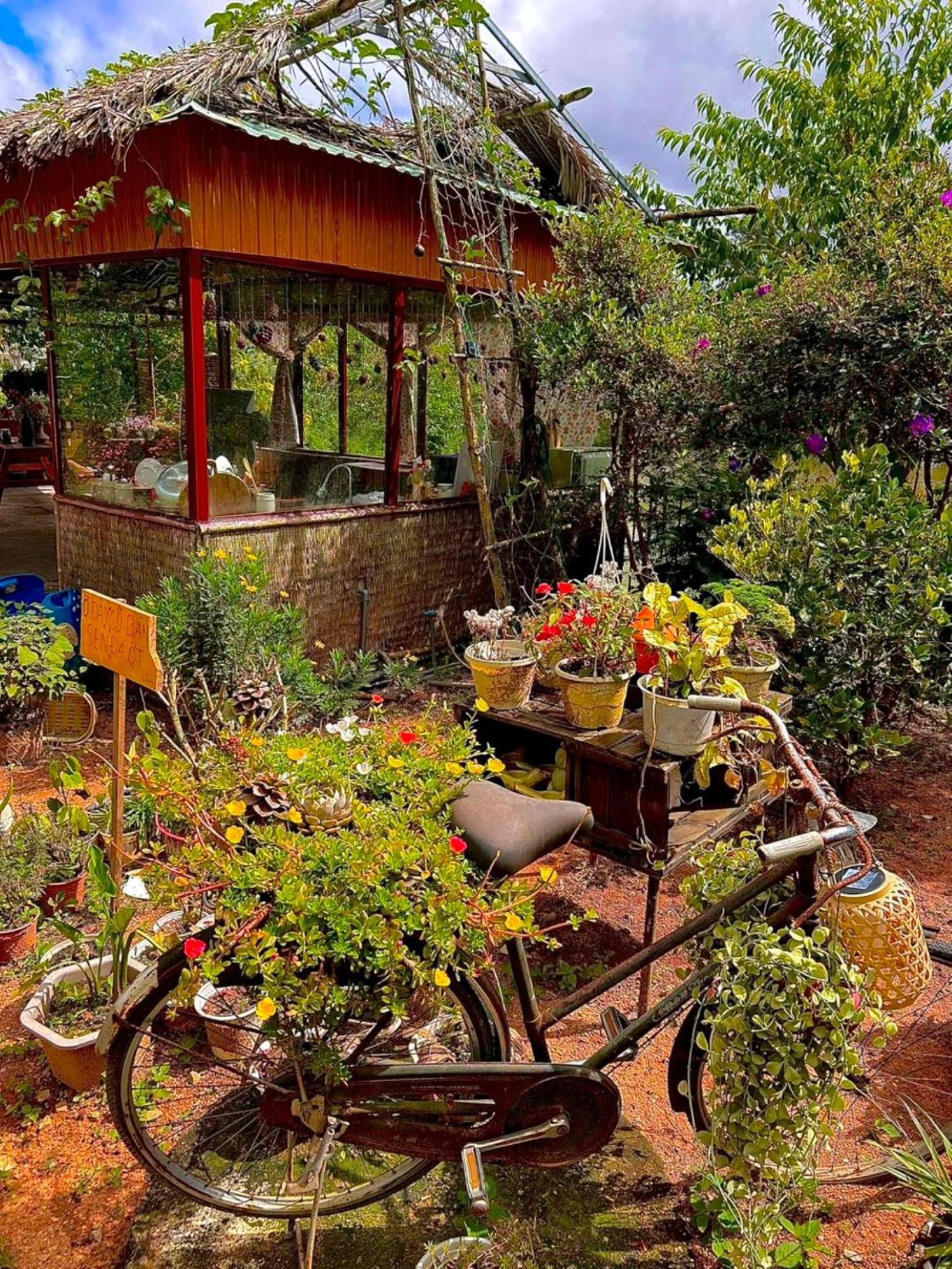 Nha Ben Ho - Da Lat Homestay Buitenkant foto