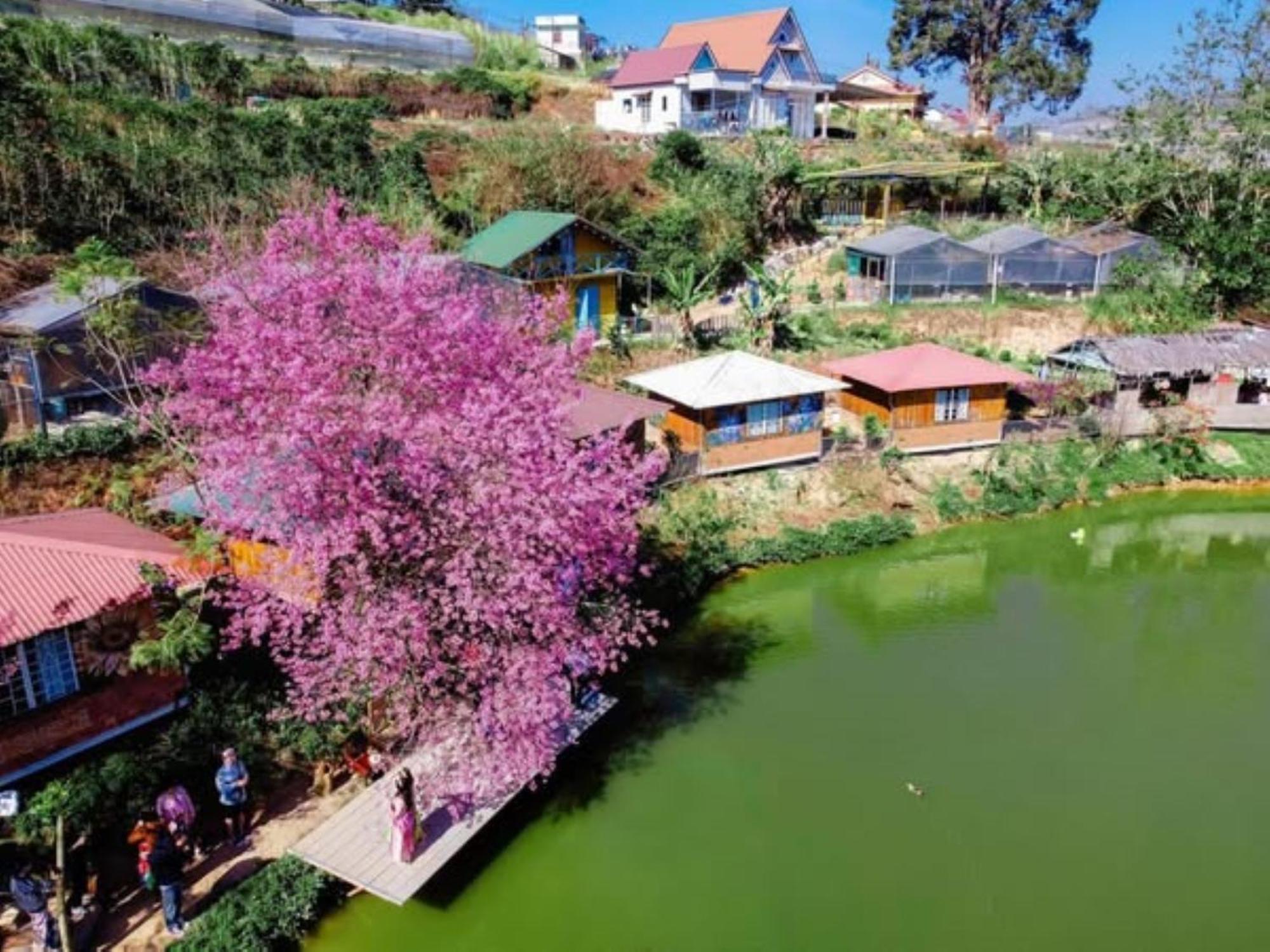 Nha Ben Ho - Da Lat Homestay Buitenkant foto