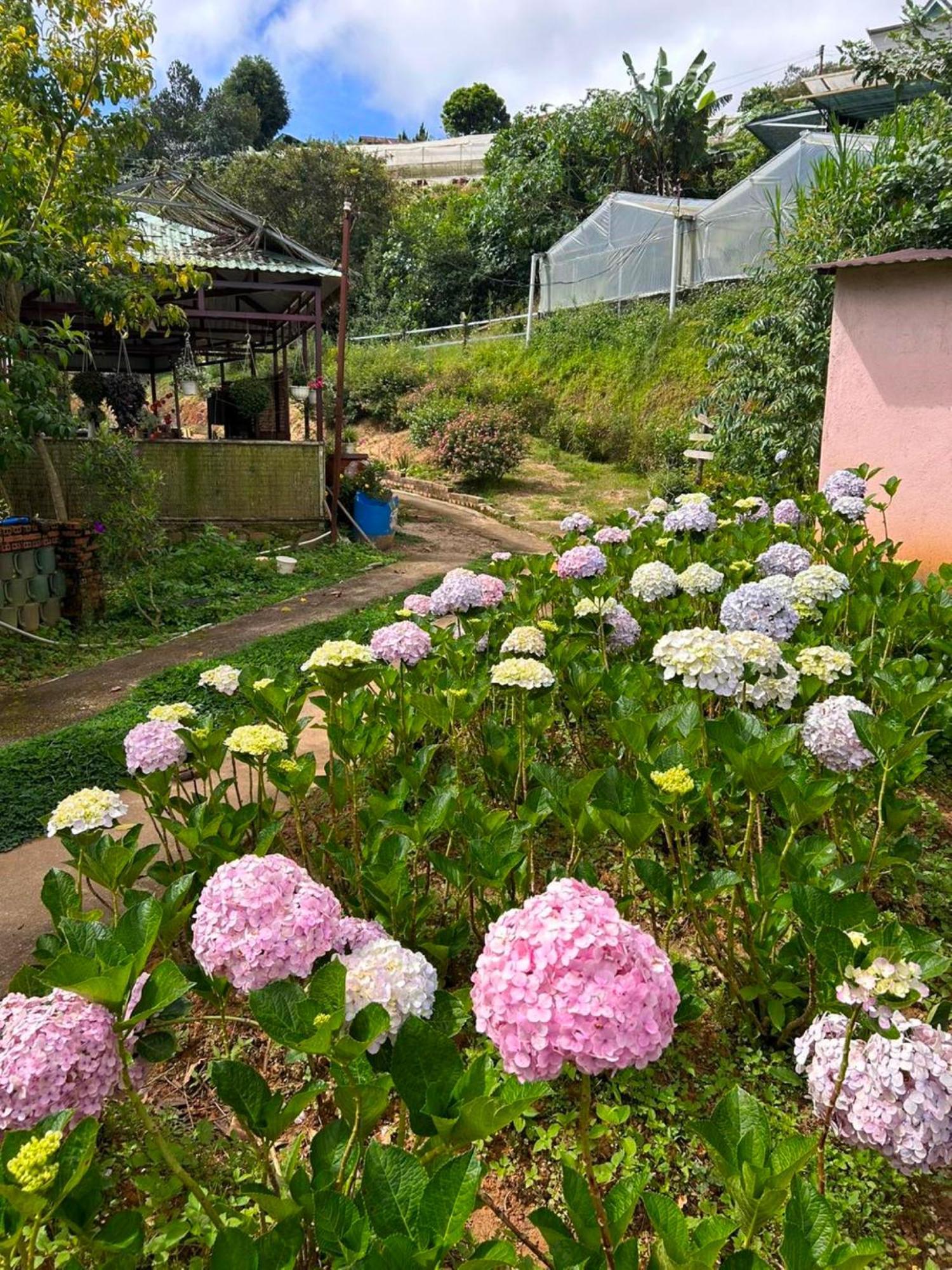 Nha Ben Ho - Da Lat Homestay Buitenkant foto