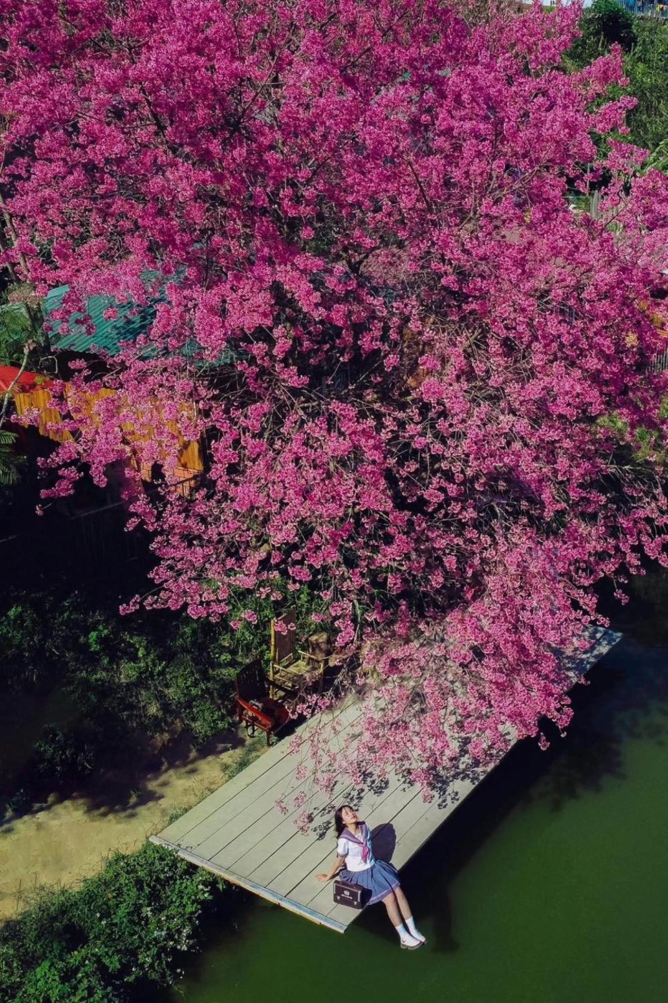 Nha Ben Ho - Da Lat Homestay Buitenkant foto