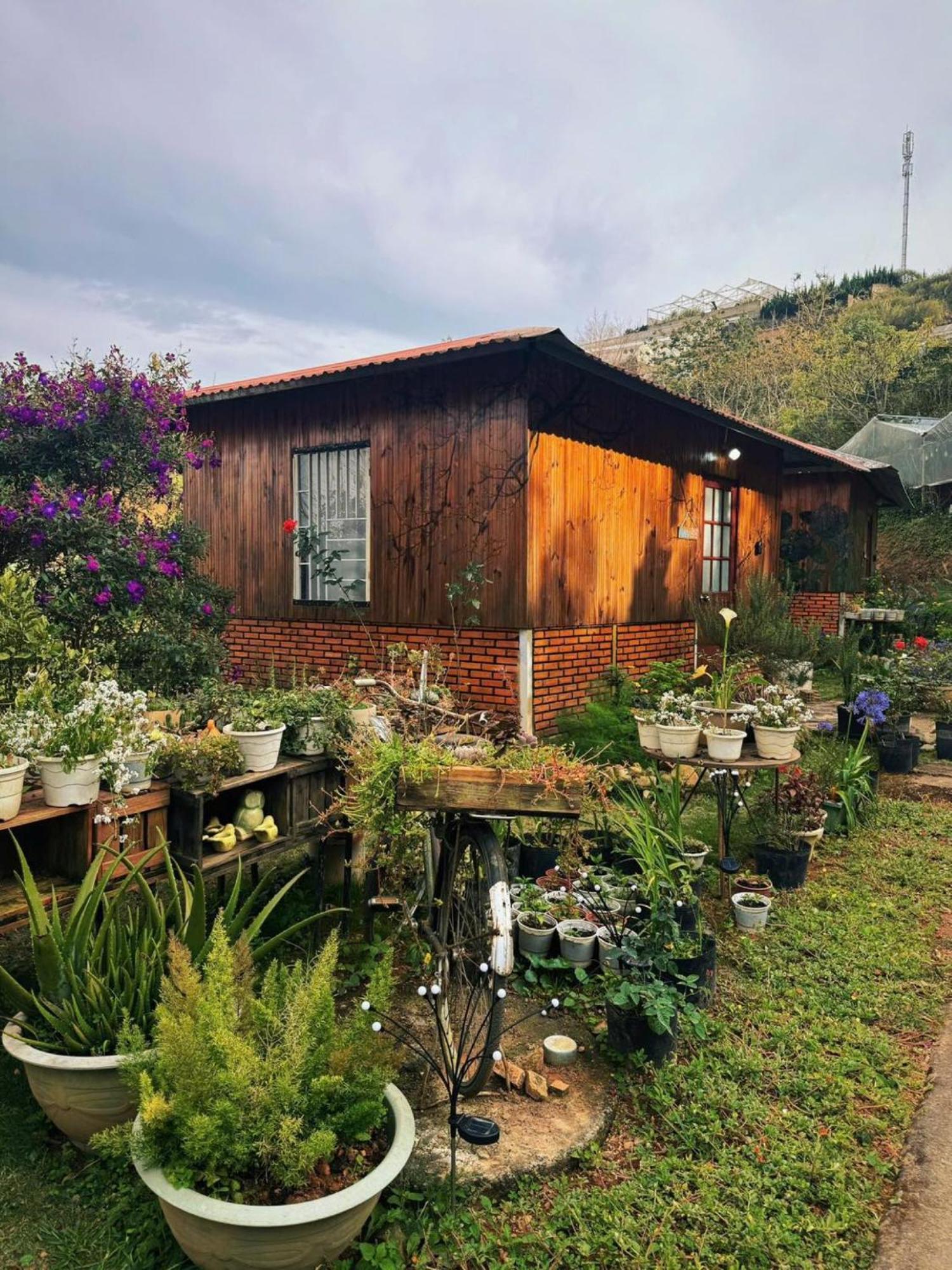 Nha Ben Ho - Da Lat Homestay Buitenkant foto
