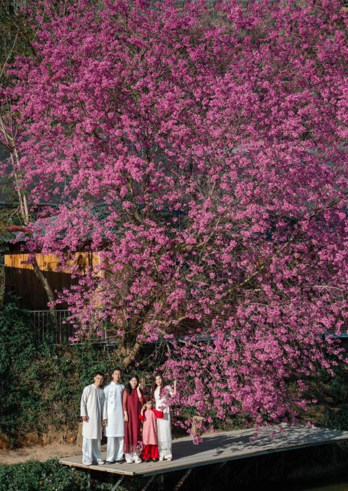 Nha Ben Ho - Da Lat Homestay Buitenkant foto
