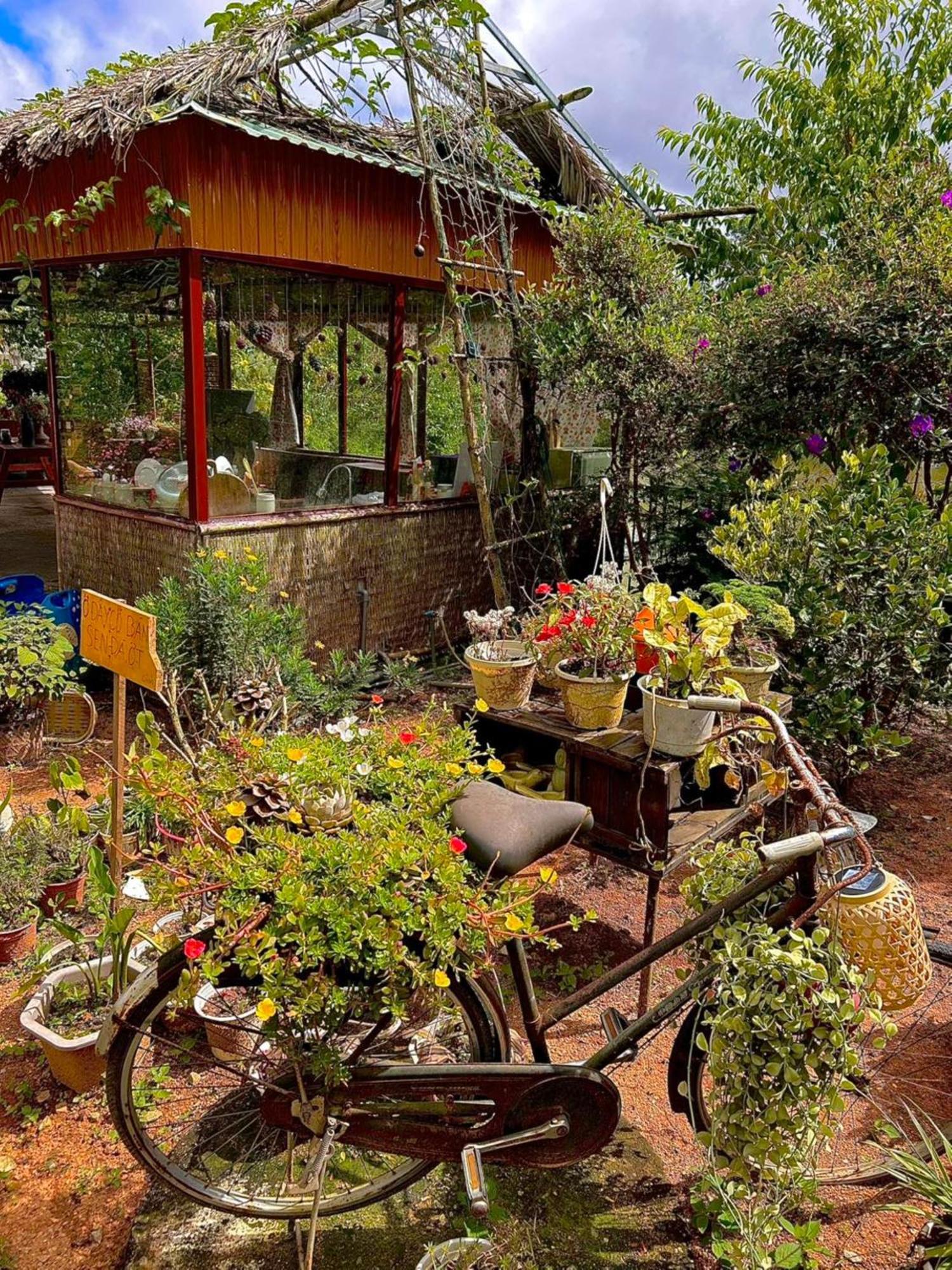 Nha Ben Ho - Da Lat Homestay Buitenkant foto
