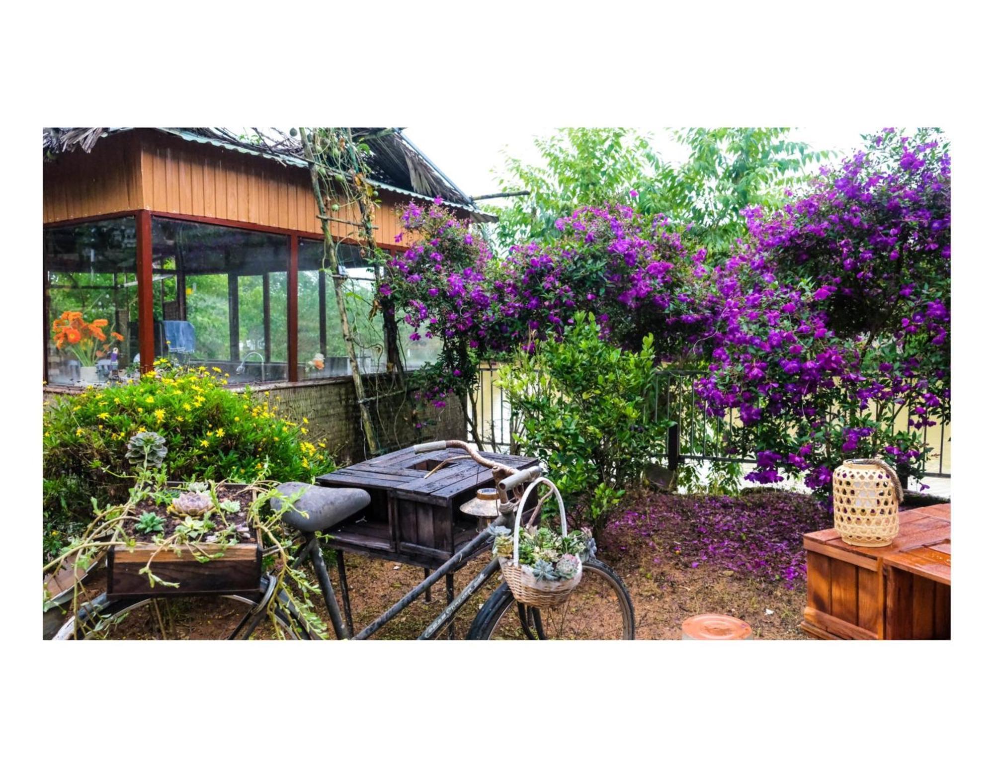 Nha Ben Ho - Da Lat Homestay Buitenkant foto